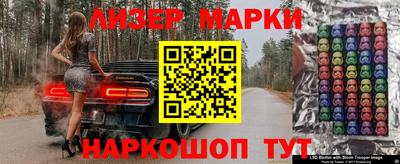 тгк Кингисепп