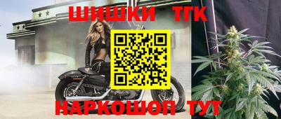 тгк Кингисепп