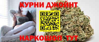 тгк Кингисепп