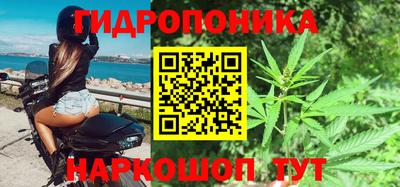 тгк Кингисепп