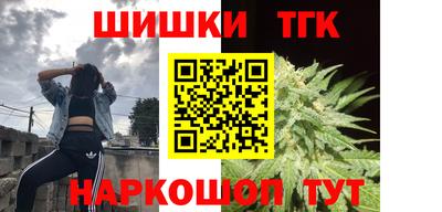тгк Кингисепп