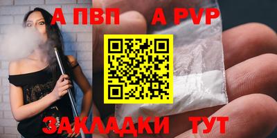 тгк Кингисепп