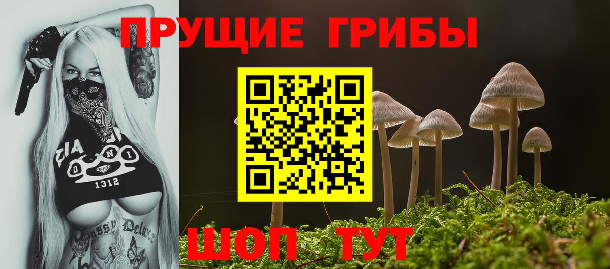 Кимры  Галлюциногенные грибы GOLDEN TEACHER  Псилоцибиновые грибы Psilocybine cubensis  Вход с VPN 