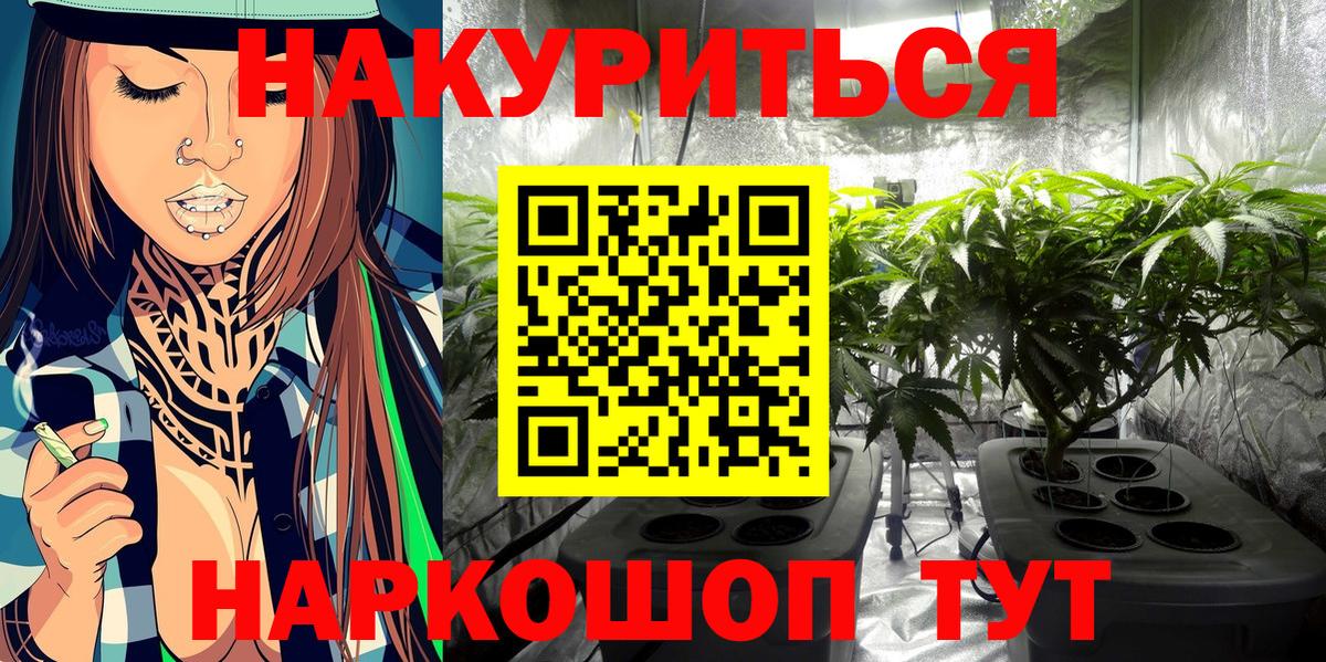 Кимры  Канабис планчик  Марихуана VHQ  Канабис гибрид  Вход с VPN 